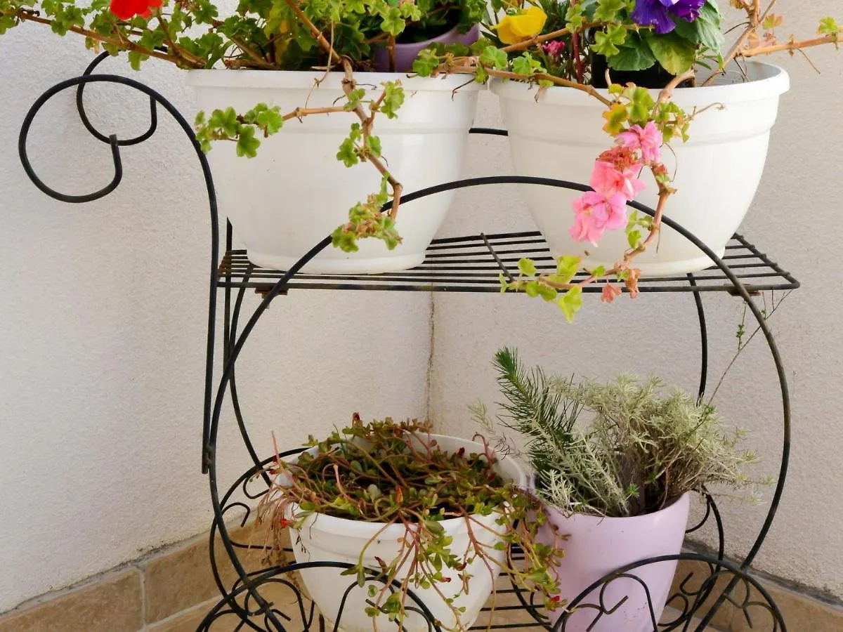 Refreshing Apartment In Ljubac With Shared Garden